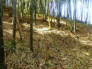 20090412102020.jpg