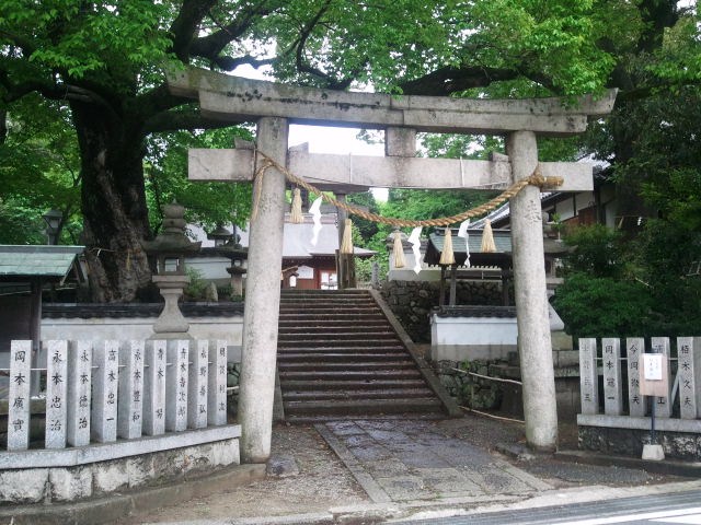2011-05-12 13.33.03.jpg